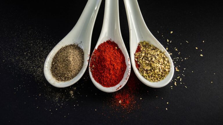 Photo "Secrets of Indian Cuisine: Rich Flavors and Spice Blends"