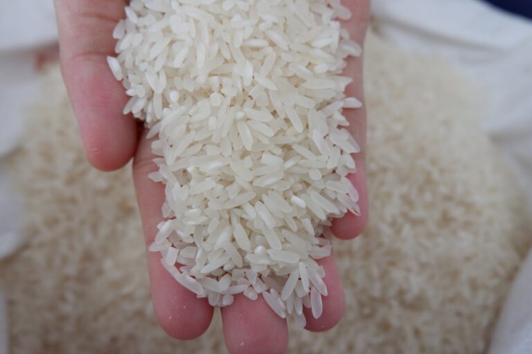 Ghid pentru prepararea corectă a orezului: De la bob la farfurie Photo "Guide to Proper Rice Preparation: From Grain to Plate"