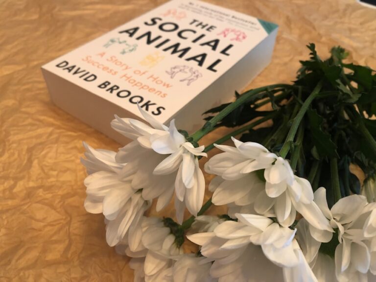 Photo "Guide to Understanding and Managing Social Anxiety"