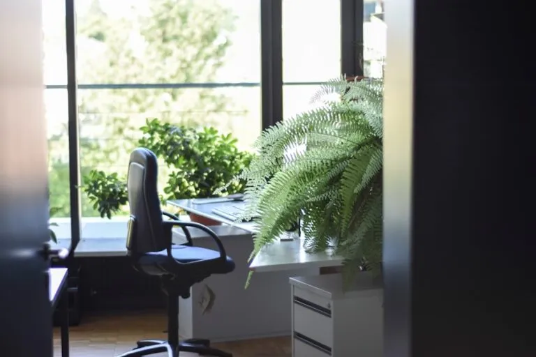 10 sfaturi pentru a-ți crea un mediu de lucru ergonomic și sănătos Photo "10 tips for creating an ergonomic and healthy workspace"