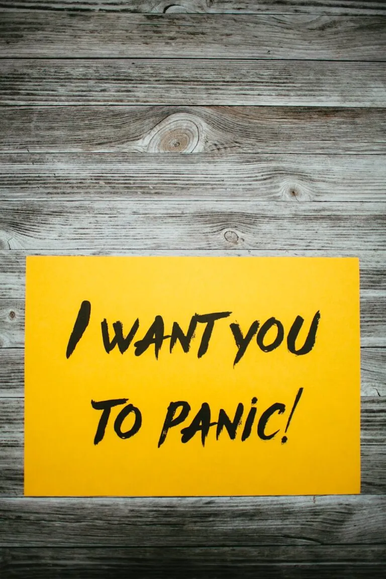 Ghid pentru înțelegerea și gestionarea atacurilor de panică Photo "Guide to Understanding and Managing Panic Attacks"