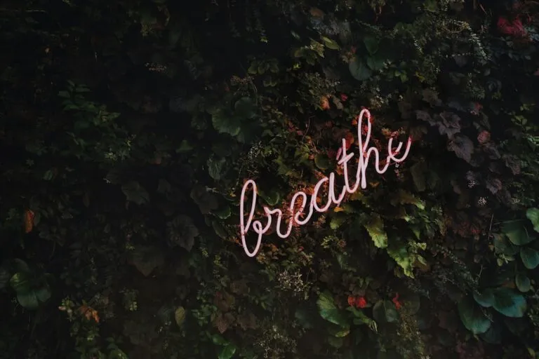 Pași Eficienți pentru a Te Focusa pe Ceea ce Contează Photo Mindfulness meditation