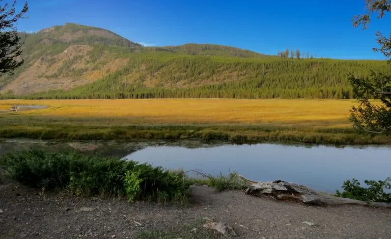 Găsește Fericirea în Micile Detalii ale Vieții Photo Natures beauty