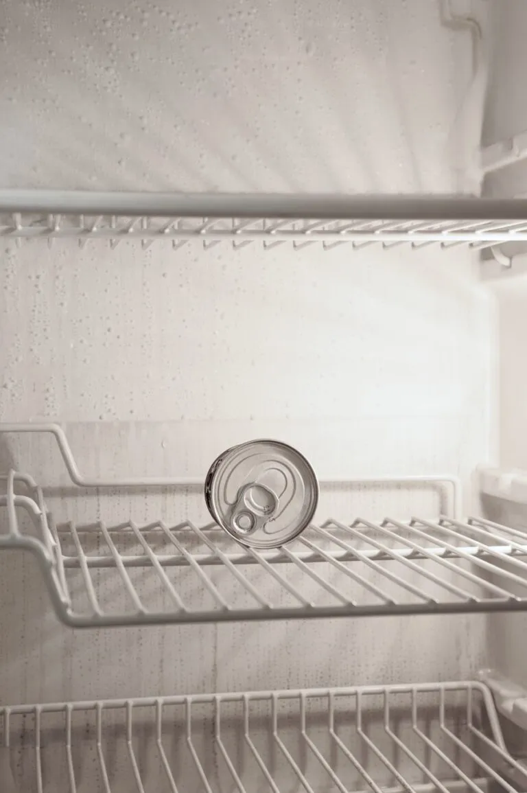 10 sfaturi pentru a organiza frigiderul eficient și a evita risipa Photo "10 tips for organizing the refrigerator efficiently and avoiding waste"