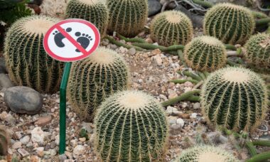 Photo warning signs