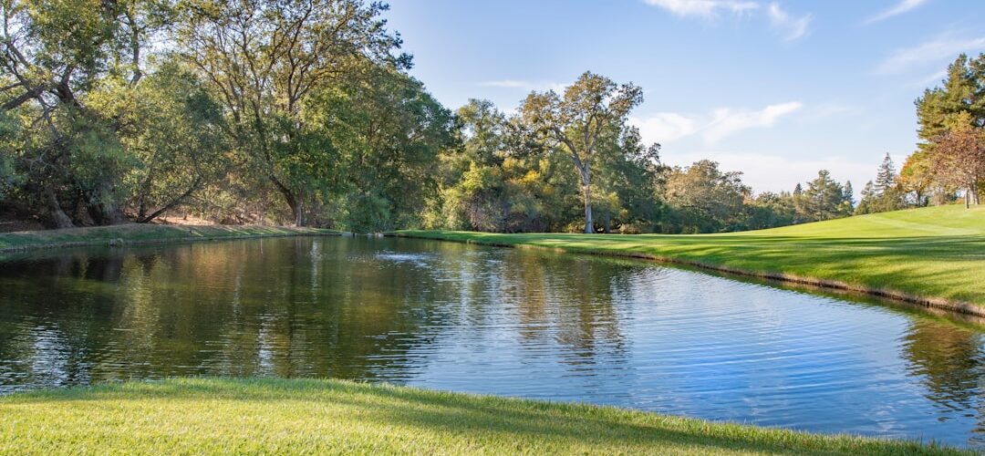 Photo active ingredients