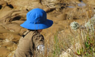 Photo sun protection