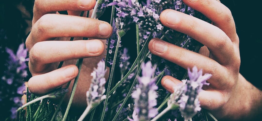 Photo essential oils