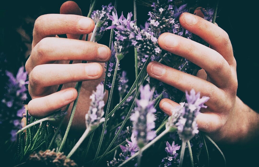 Photo essential oils