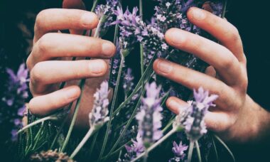 Photo essential oils