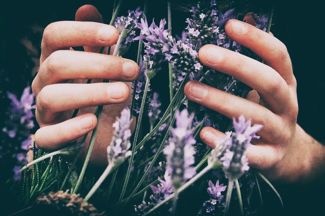 Photo essential oils