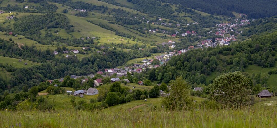 Photo rochia neagră
