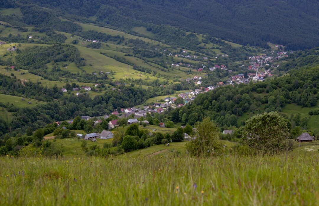 Photo rochia neagră