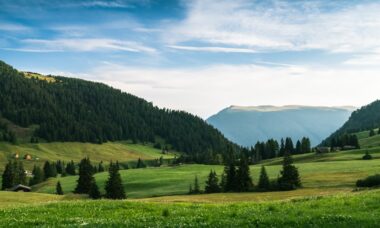 Photo Nutriție smart
