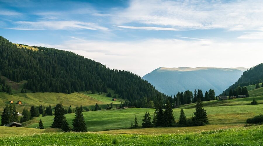 Photo Nutriție smart