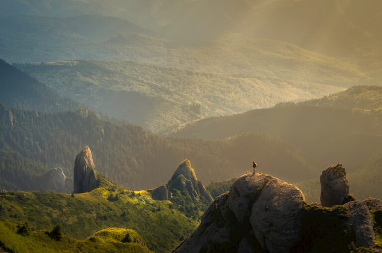 Cum îiți găsești puterea de a spune adevărul, chiar când e greu Photo