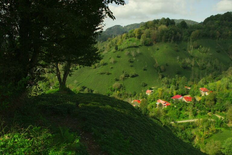 Photo motivația