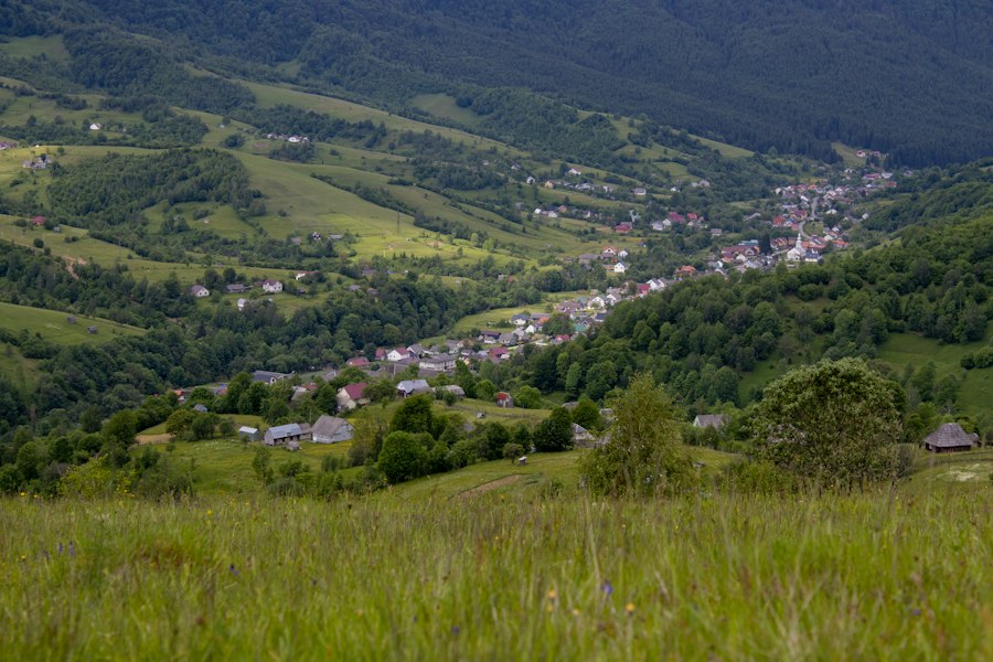 motivația